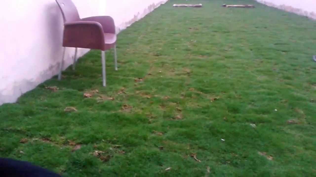 my german shepherd dog loves plastic bottles =))