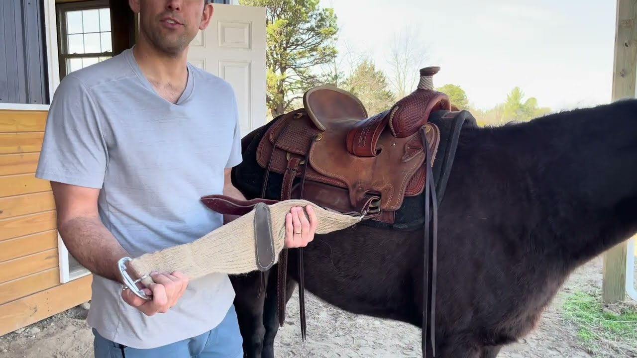 Classic Equine 100% Mohair Roper Cinch with Leather Center, Natural | Review