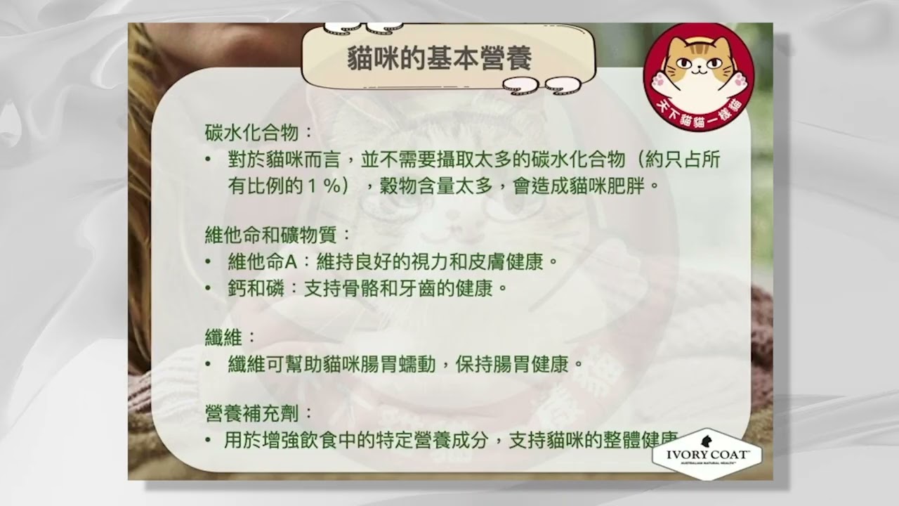 生產貓糧的奧秘 真係可以用鮮肉做糧？ 《毛城城X天下貓貓 齊齊講貓貓@貓迷博覽會2025》