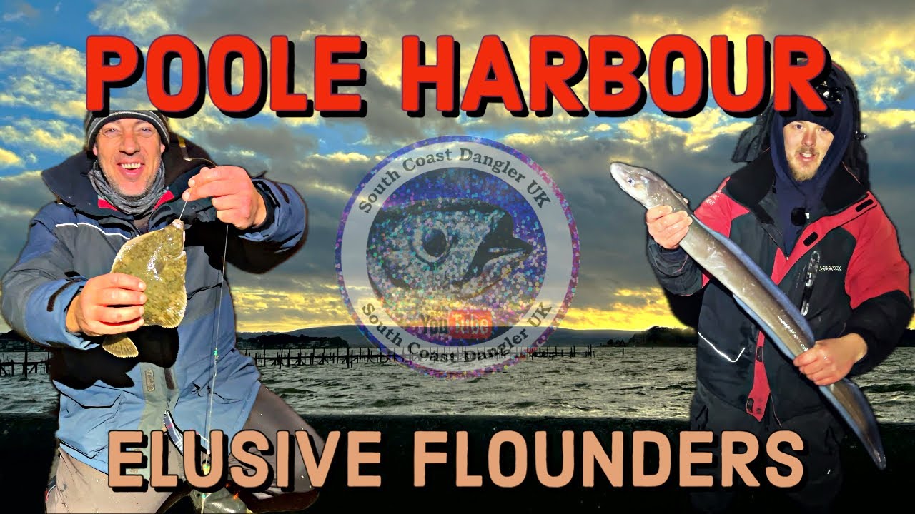POOLE HARBOUR Flounder Fishing - Fishing For The Elusive Flounder - Sea Fishing UK