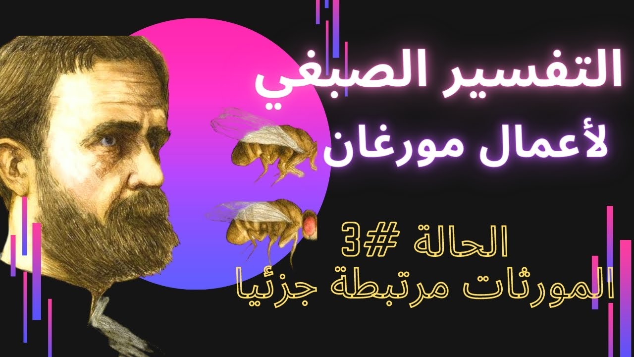 التفسير الصبغي لأعمال مورغان_حالة الإرتباط الجزئي 🔥🔥