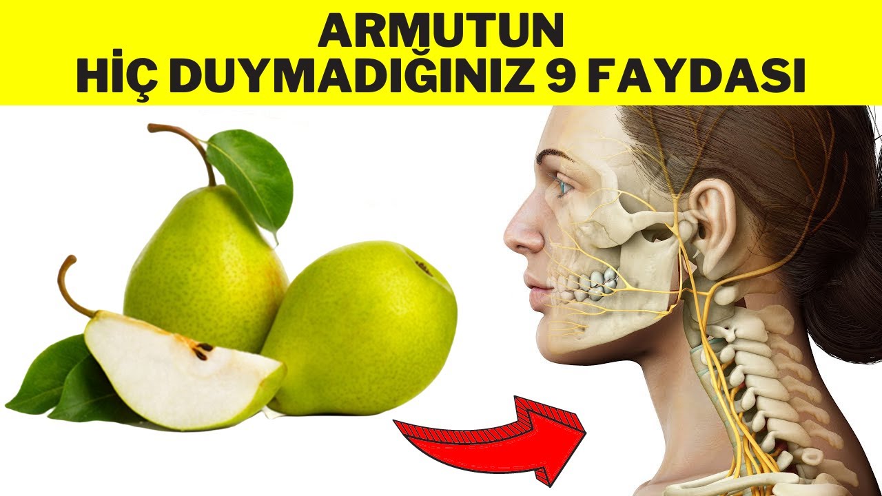 VİTAMİN DEPOSU ARMUTUN FAYDALARI (Armudun Faydaları - Armutun Zararları-Armutun İ&ccedil;indeki Vitaminler)