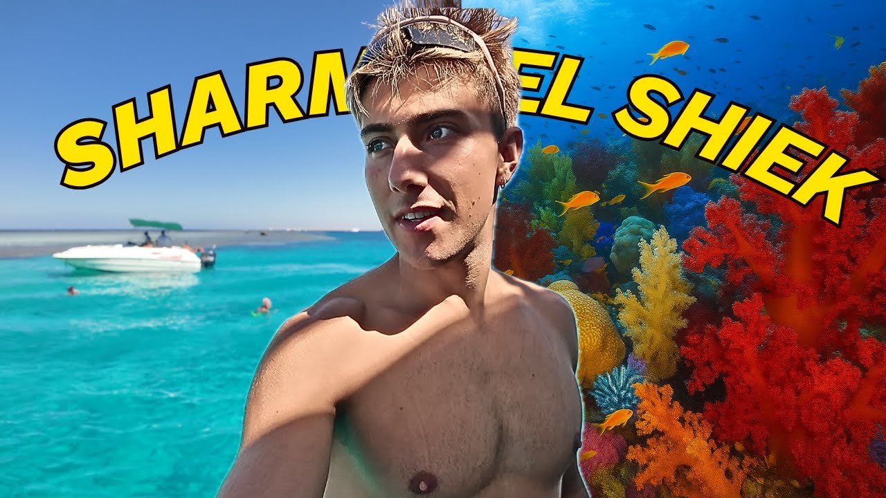 Immergersi nella barriera corallina di Sharm El-Sheikh