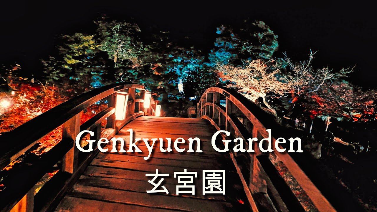 Japan 4K Walk | Hikone Castle Genkyuen Garden Nightwalk 彦根 玄宮園