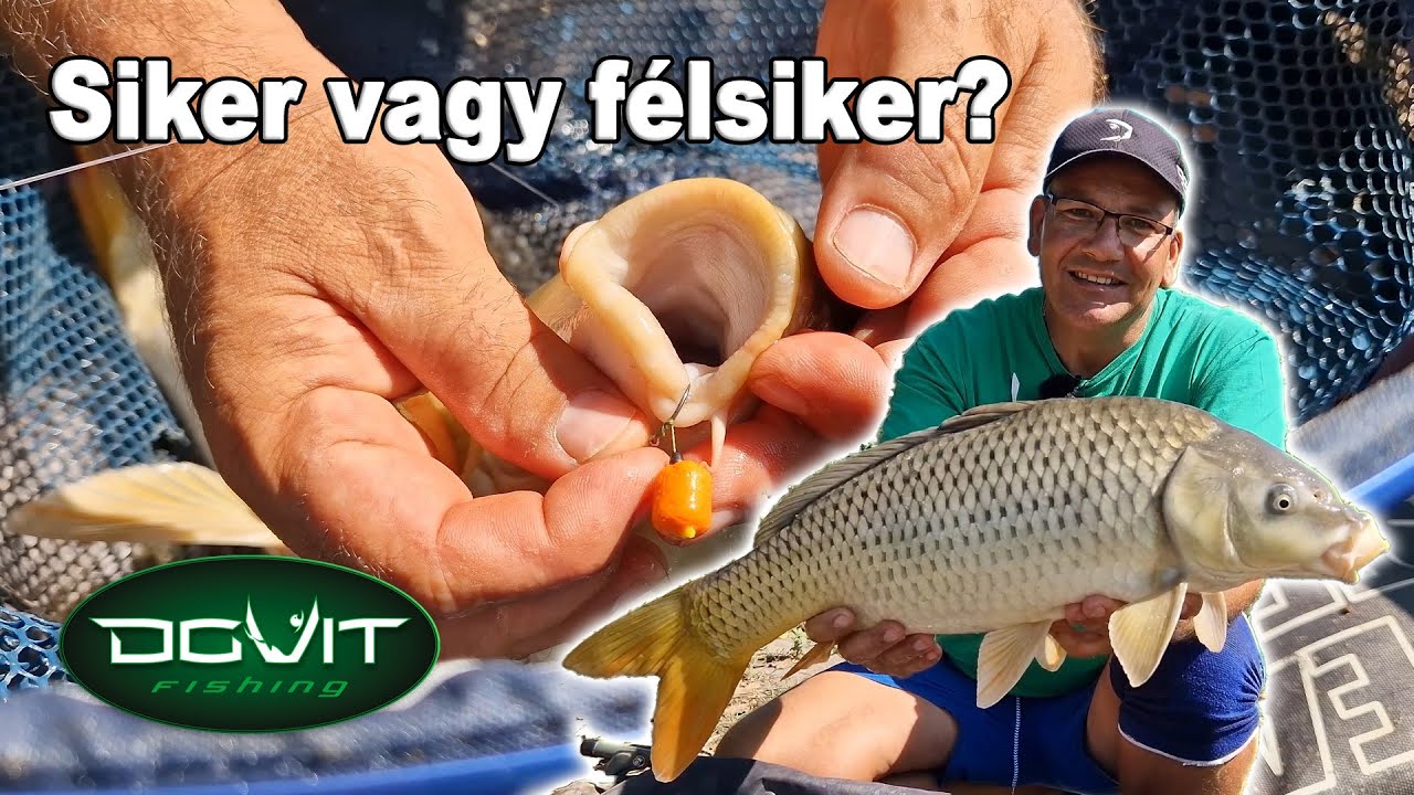 DOVIT FEEDER - Siker vagy félsiker?
