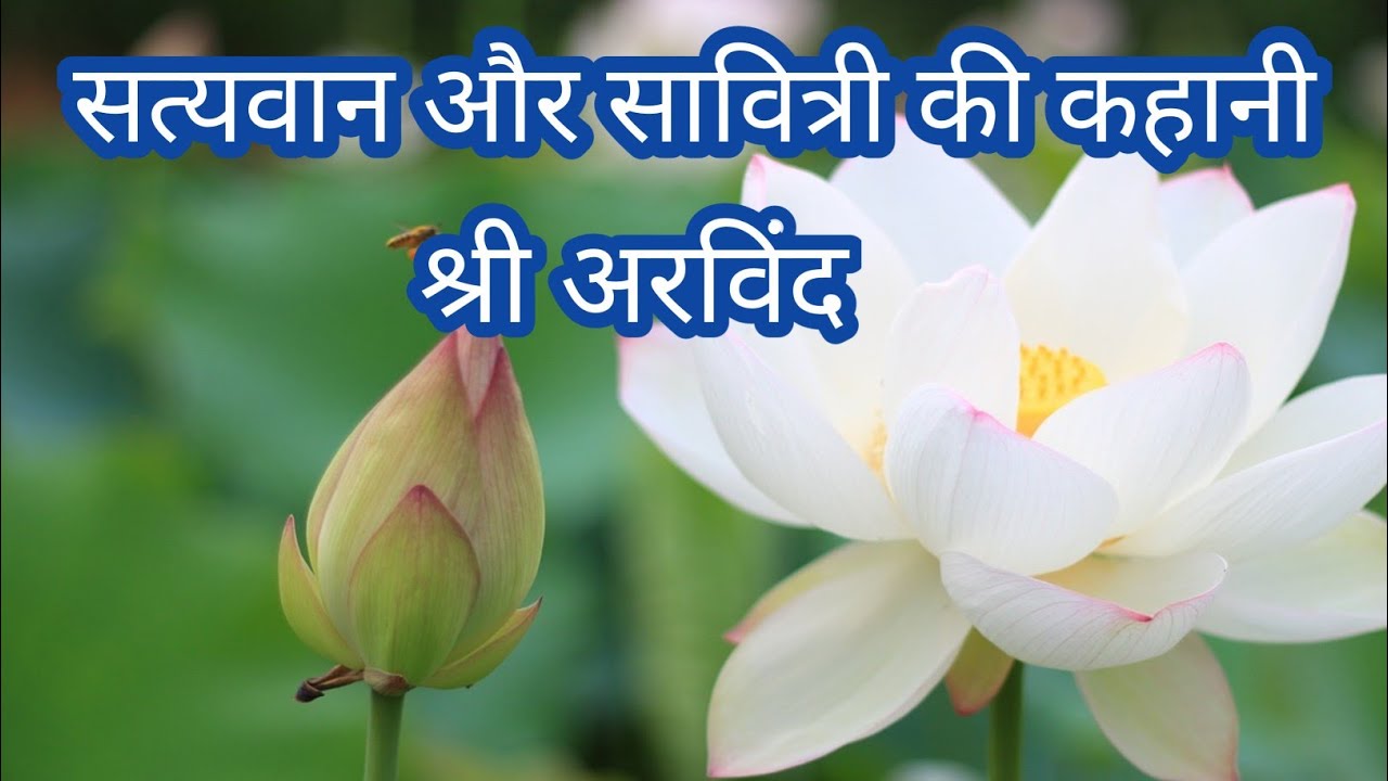 Savitri  by Sri Aurobindo in hindi।sri aurobindo।the mother