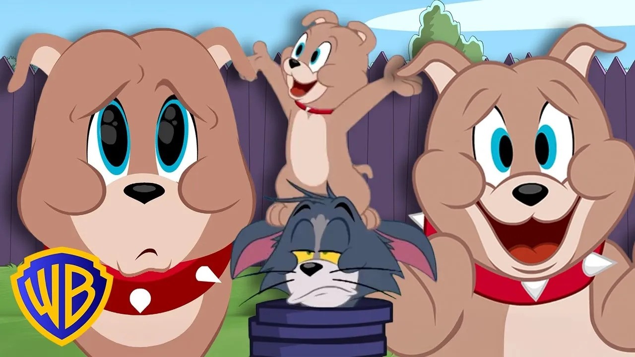 Arriva Tyke! 🐶 | Tom & Jerry in Italiano 🇮🇹 | @WBKidsItaliano​