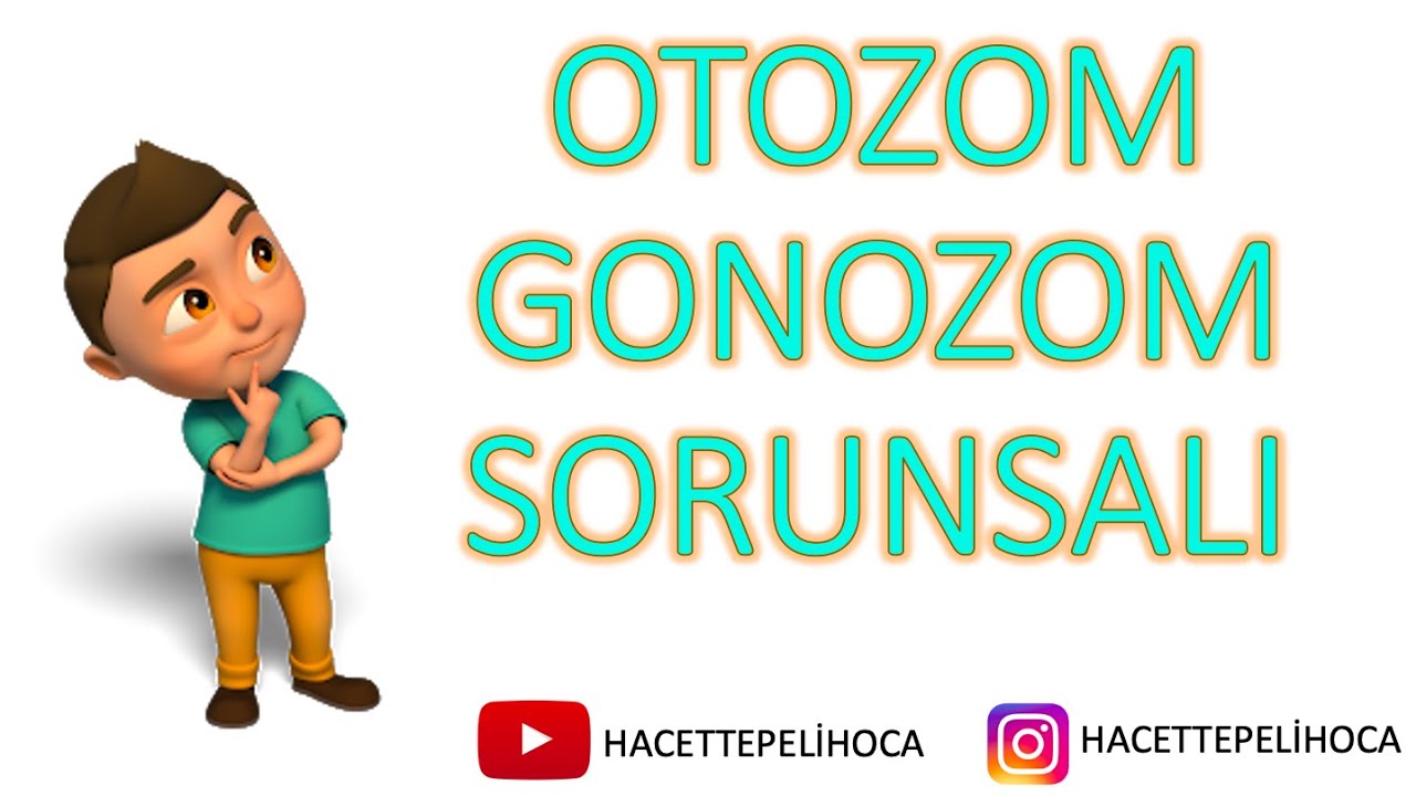 128 | KALITIM -25 | OTOZOM VE GONOZOM NEDİR? | 10. SINIF| TYT | #hacettepelihoca