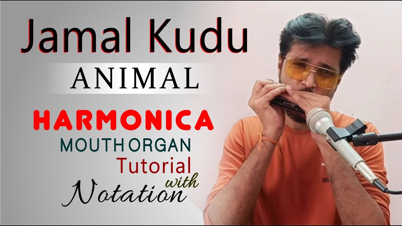 ANIMAL - Jamal Kudu | Harmonica Lesson | Mouth Organ Tutorial | Elite Music Akola