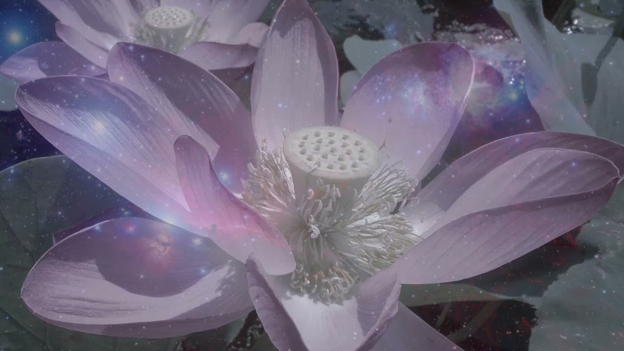 Baba Nam Kevalam - Acarya Priyakrsnananda Avadhuta - Mahaprayan 2021