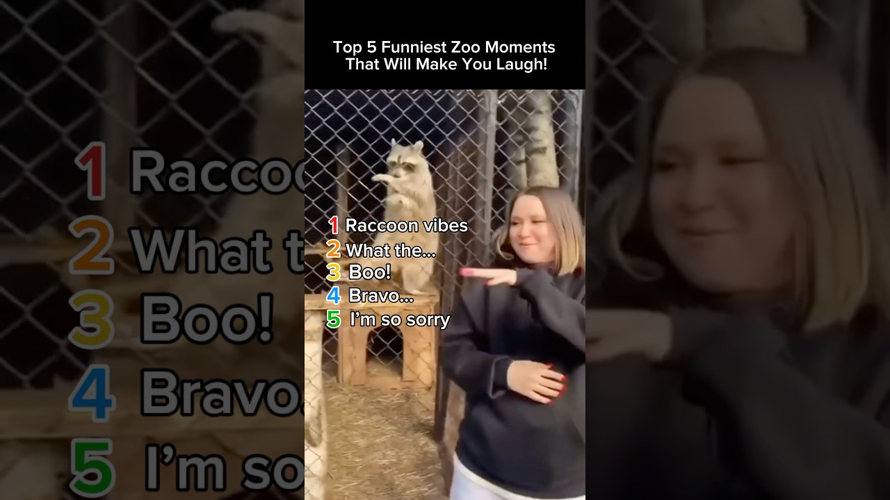 Top 5 Funniest Zoo Moments That Will Make You Laugh!
