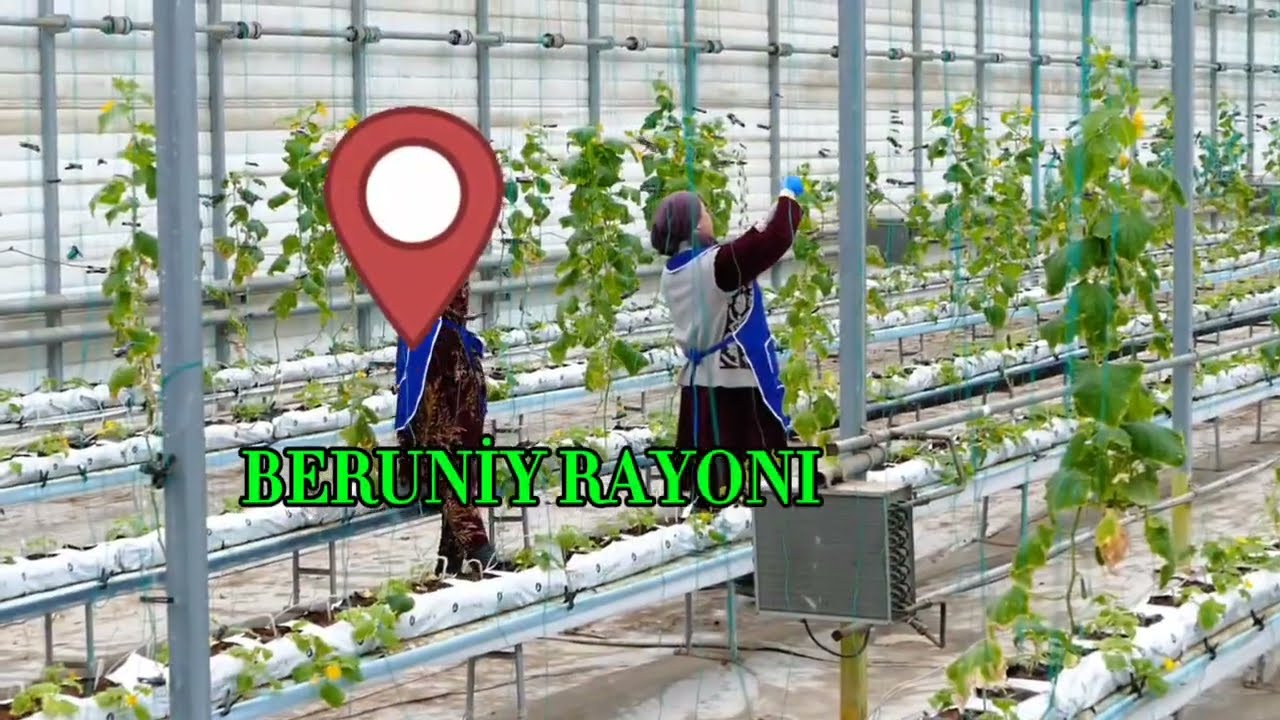 Beruniy rayonında ótkerilgen press-turdan kórinis