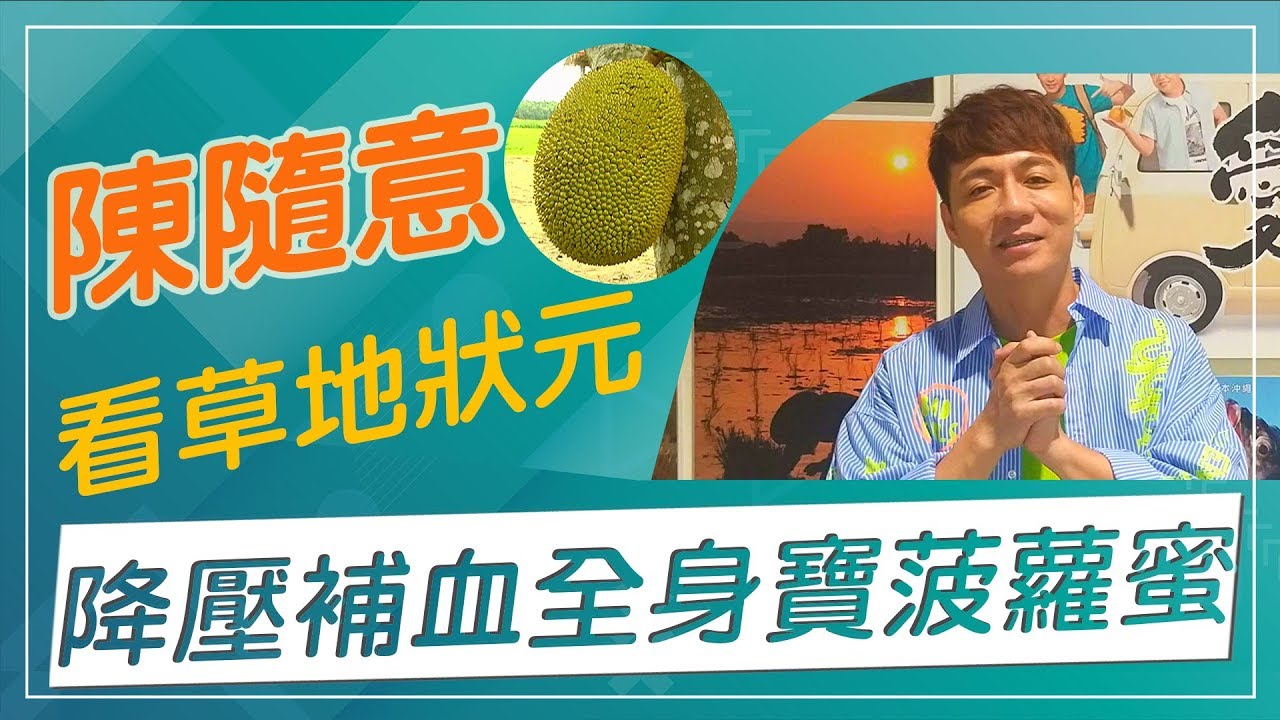 【草地狀元經典重現】這種水果種子比果肉好吃！熱帶水果皇后菠蘿蜜全身寶大補品，跟著總鋪師歌王陳隨意一起來看草地狀元！