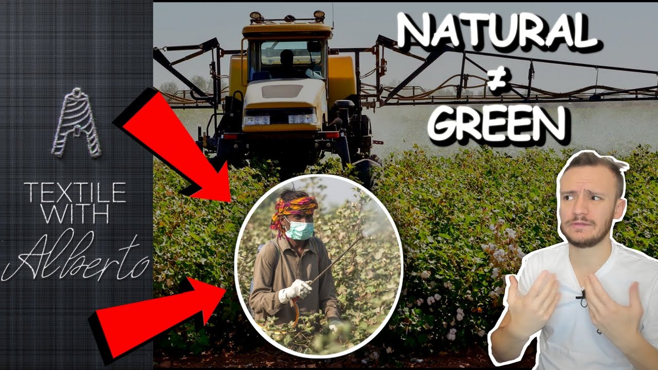 Is COTTON Really SUSTAINABLE? Let’s Talk FACTS