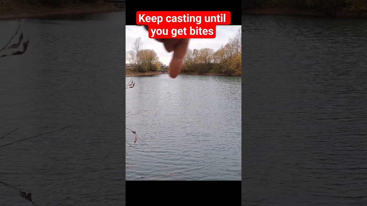Keep casting until you locate Zander 