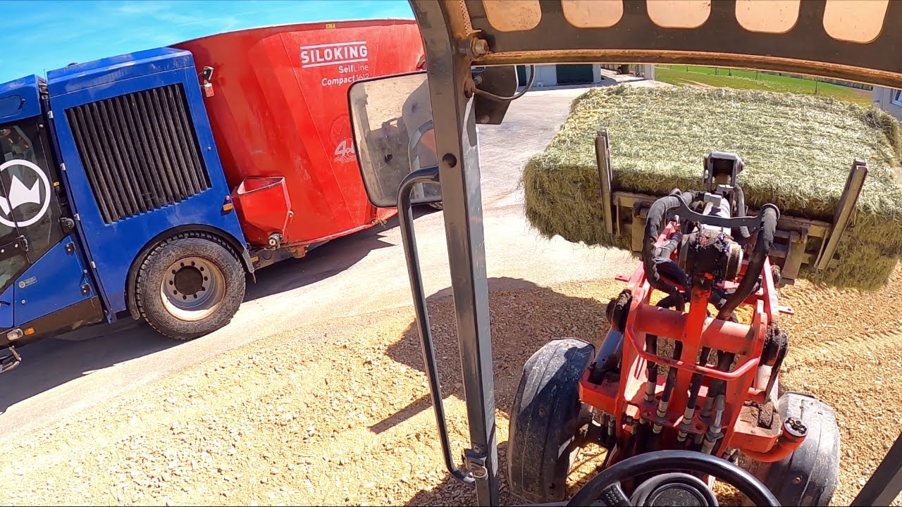[GoPro] Cabview | Kühe füttern mit SILOKING SelfLine 4.0 Compact Selbstfahrer