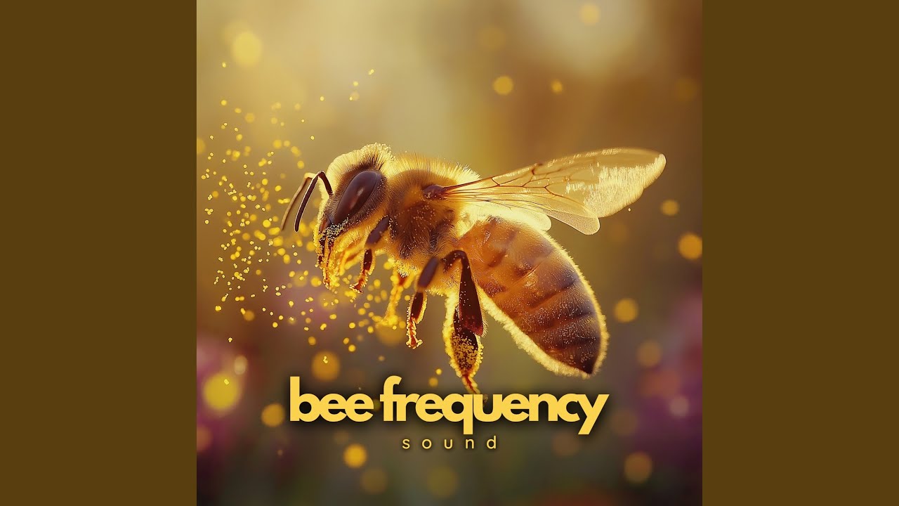 Hive Harmony for Healing