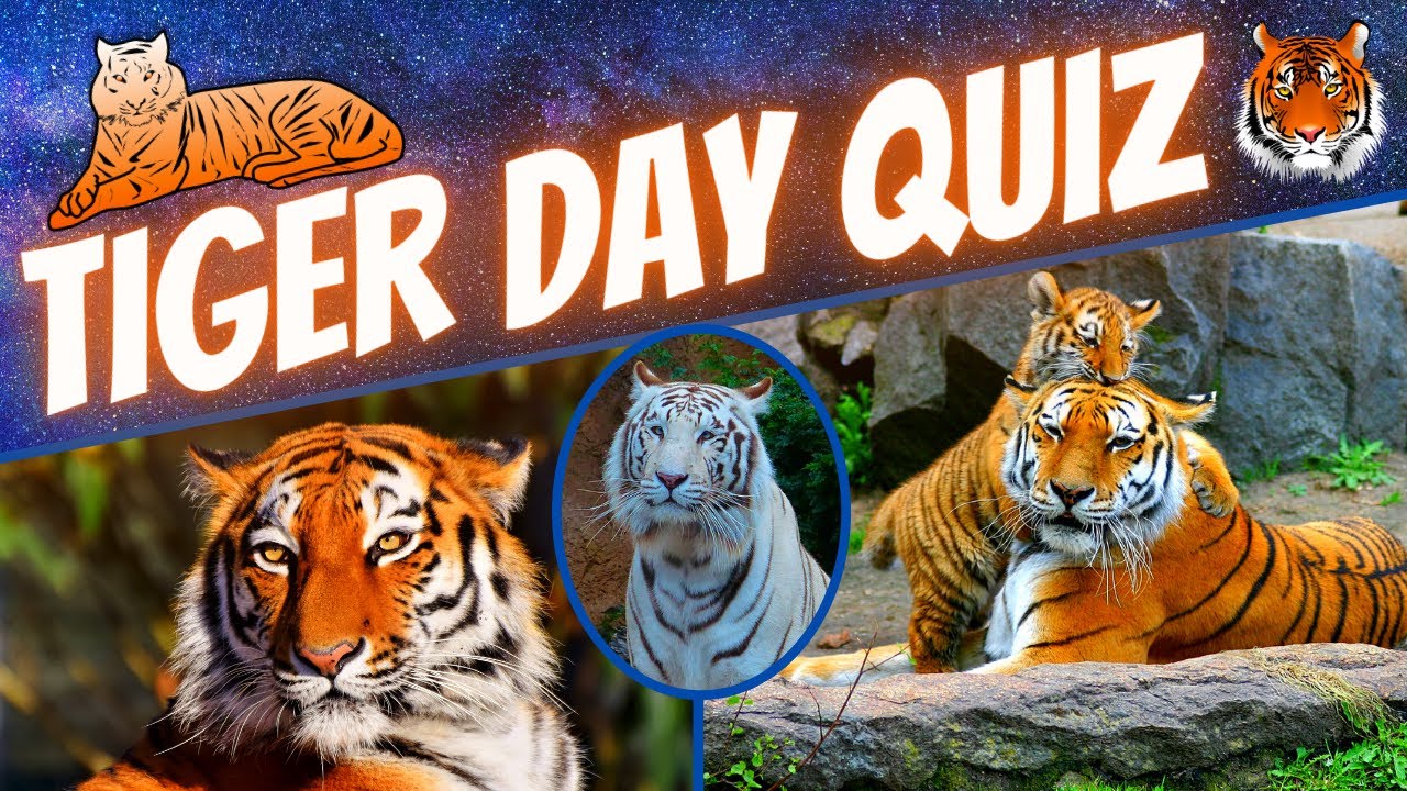 🐯 International Tiger Day 2020 Quiz | Trivia Questions and Answers with Facts!