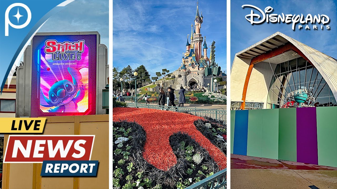 Disneyland Paris LIVE NEWS REPORT | 11 & 13 January 2026