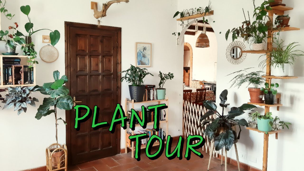 PLANT TOUR a Casa Ciliegia 🌱
