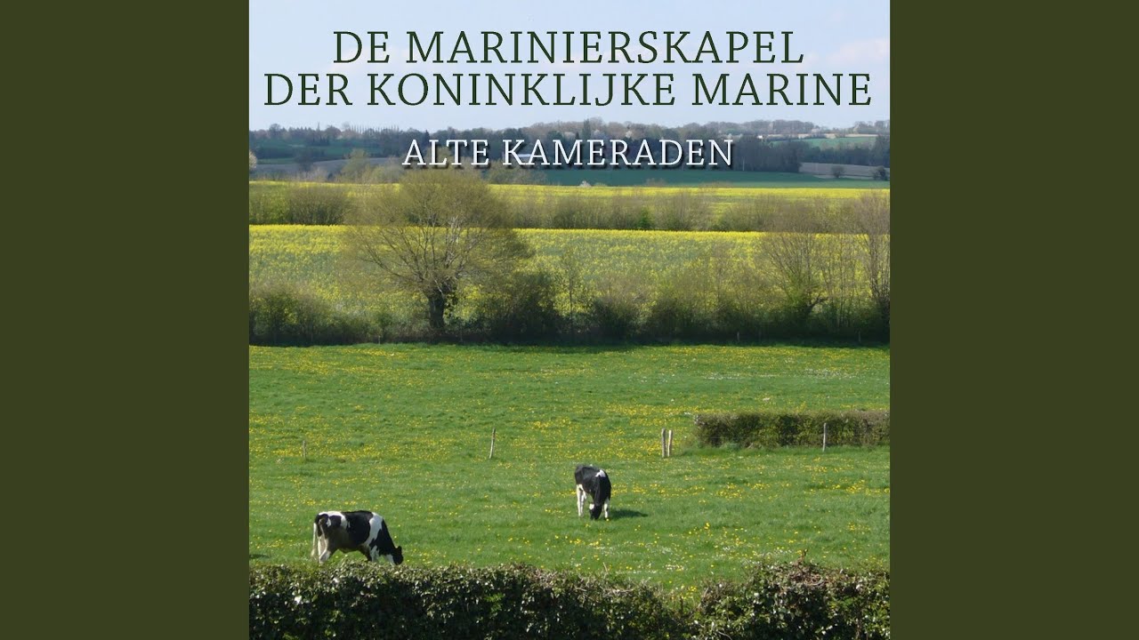 Alte Kameraden