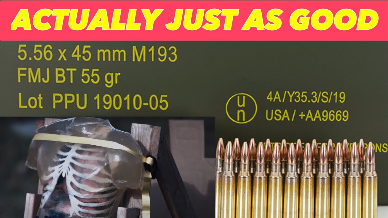 Guntube не прав насчет 55gr FMJ 5.56 для WROL/SHTF