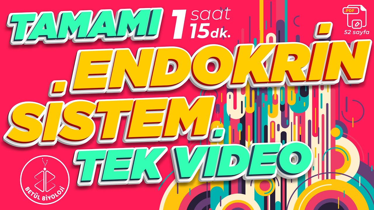 Endokrin Sistem Tekrar  | TAMAMI TEK VİDEO | AYT Biyoloji Konu Anlatımı