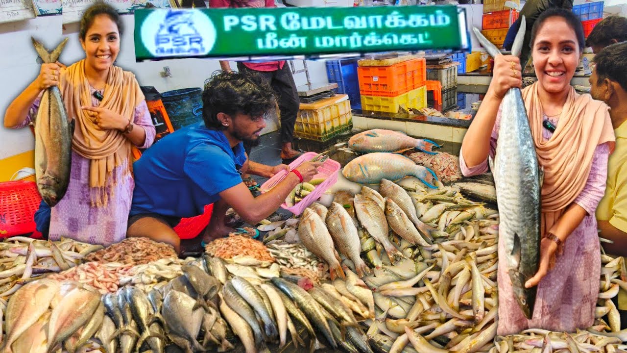 💯💥Sunday Morning களைகட்டும் சென்னை மீன் Market😍🔥| Media பட்டதாரி #fishmarket #chennai #medavakkam