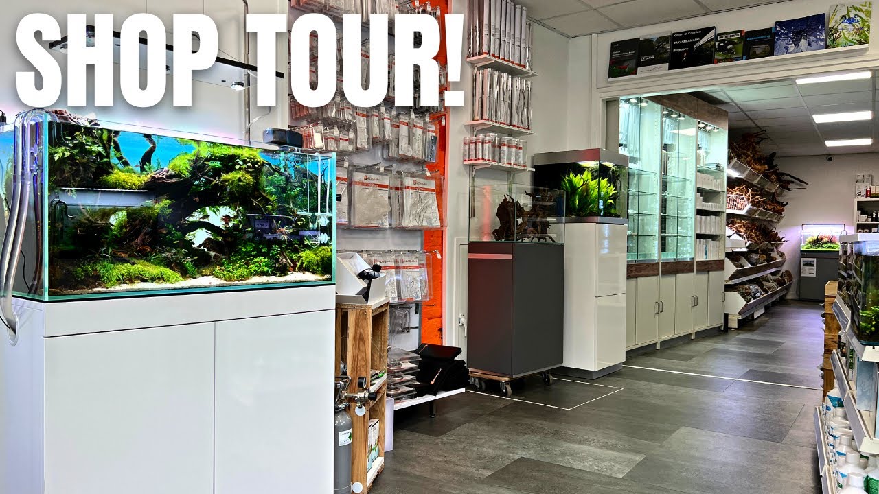 THE BEST AQUASCAPING STORE IN THE NETHERLANDS!