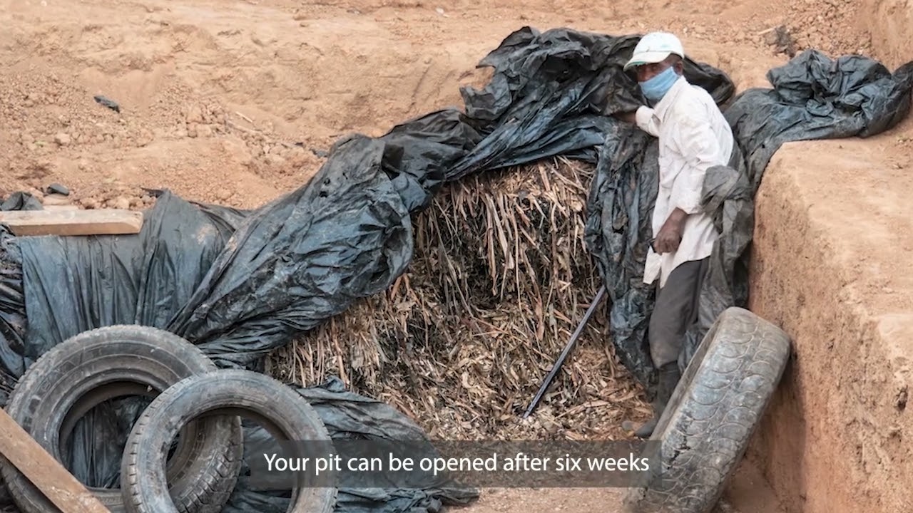 Zambia Dairy - Making a Silage Pit