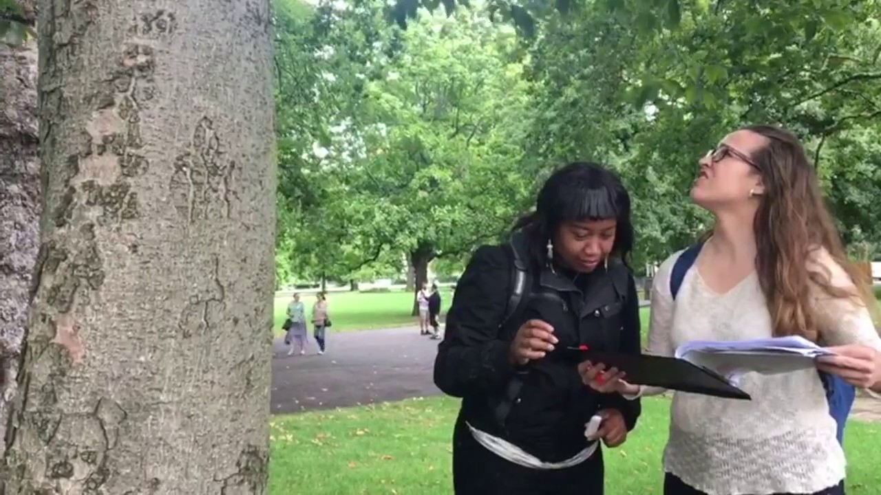 How do you work out the value of a Tree?