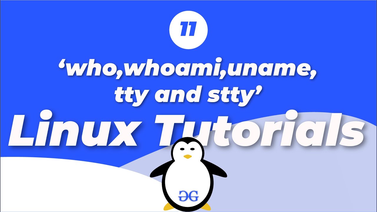 Linux Tutorials | About the user and the terminal | GeeksforGeeks