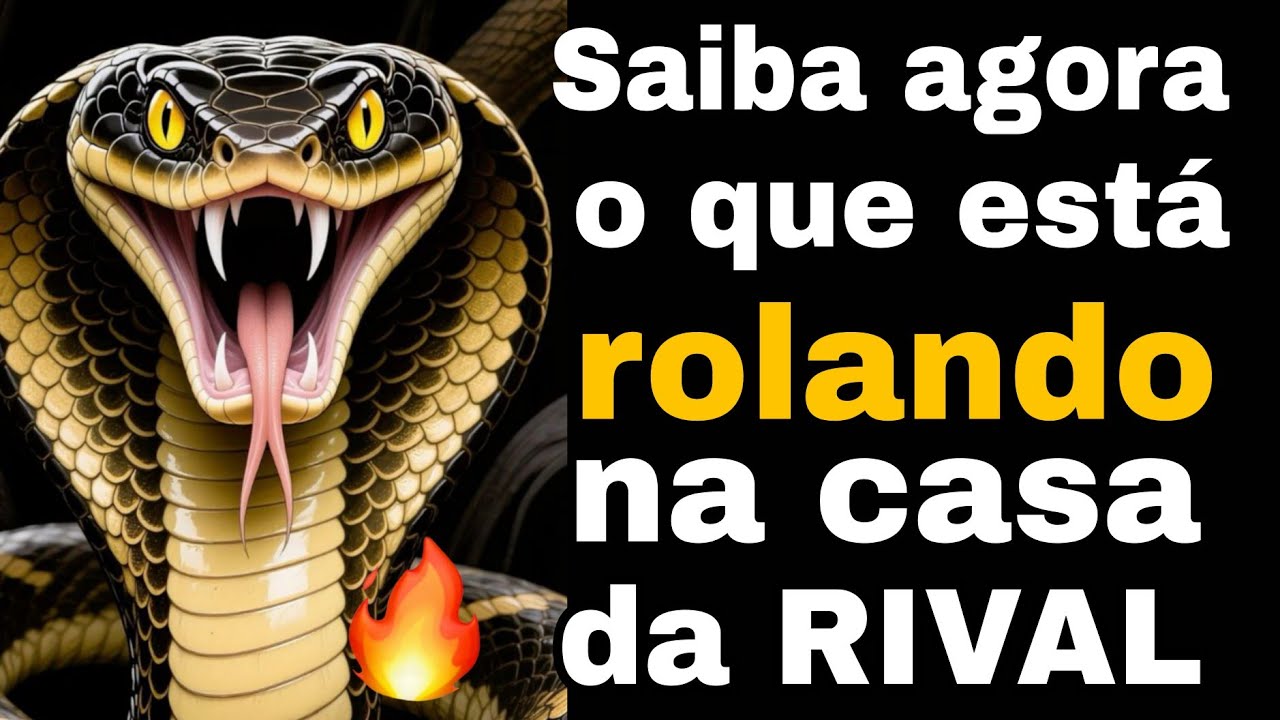 MEU DEUS 😳🚨🗣️ DEU RUIM ELETOMA DECISÃO DRÁSTICA ANTES DA SEPARAÇÃO RIVAL NÃO PERDOA | TAROT RESPONDE