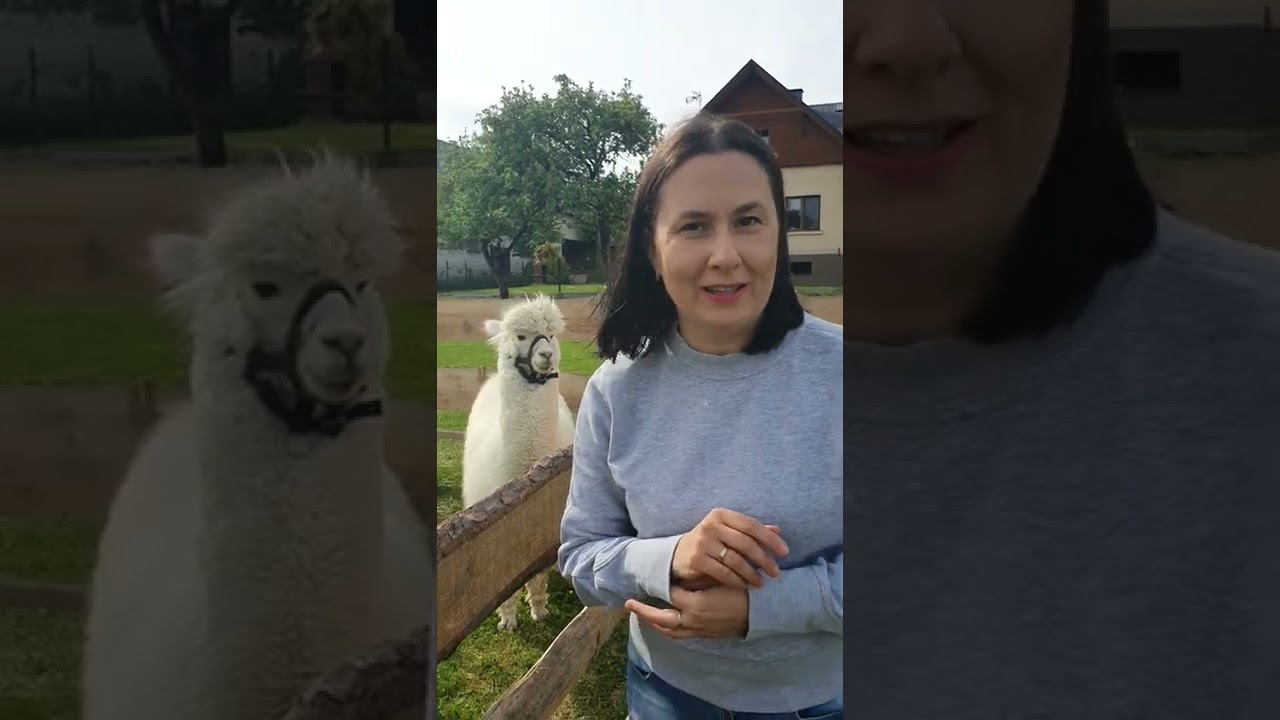 Rezydencja Gościnna poleca- AlpakIgi