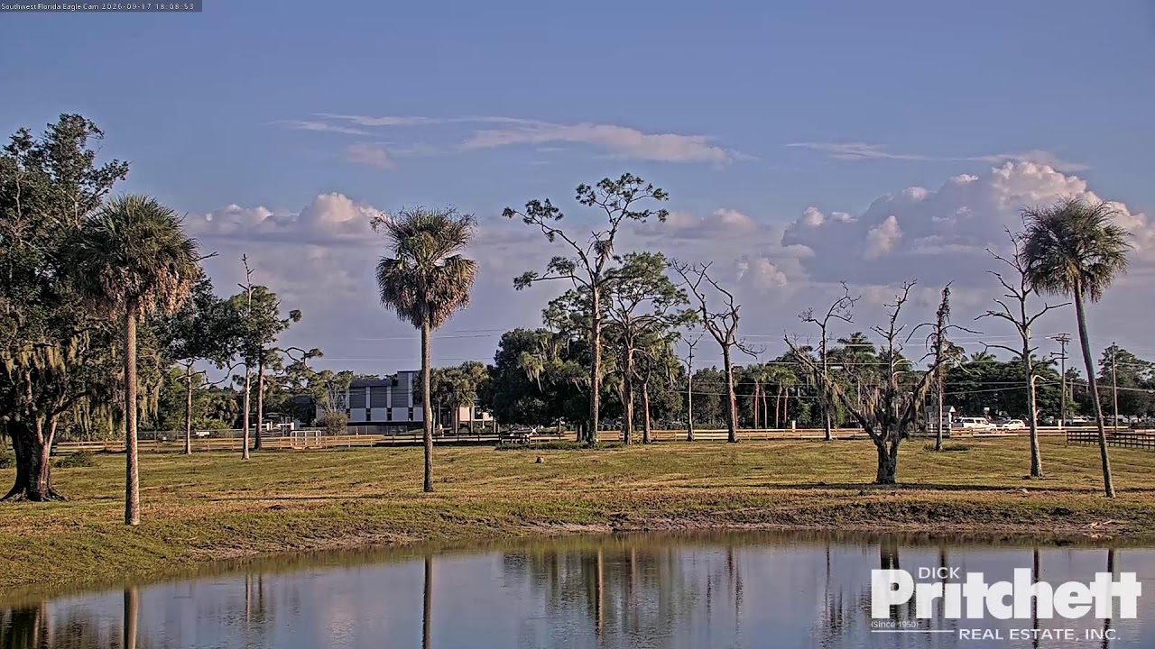 Southwest Florida Eagle Cam