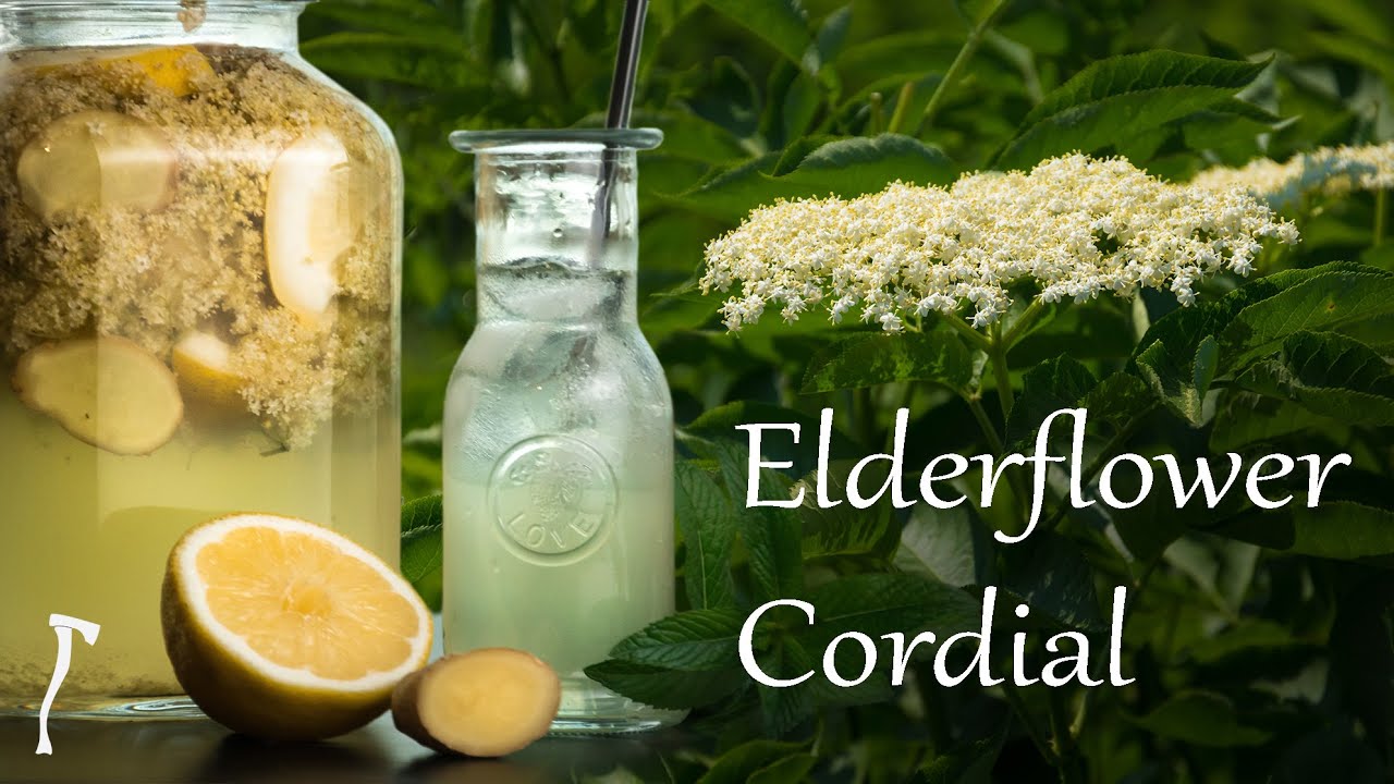 Elderflower Cordial the taste of Summer