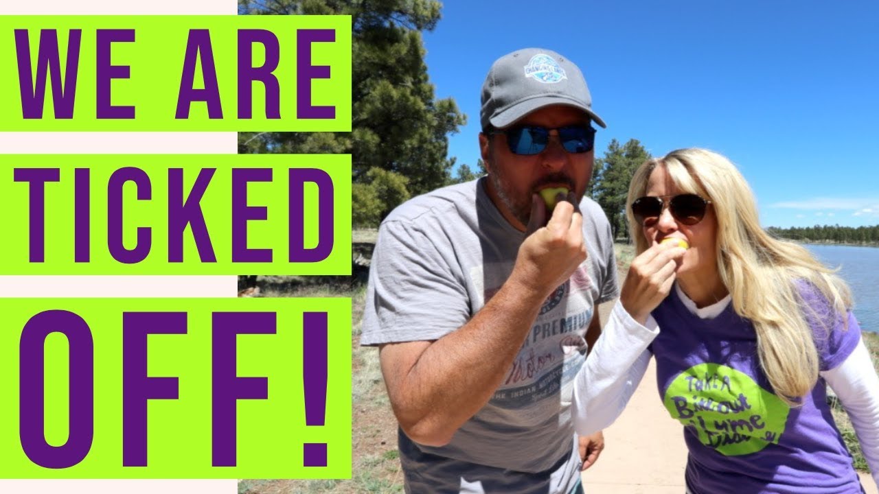 Lyme Disease Awareness | Full Time RV! | Changing Lanes