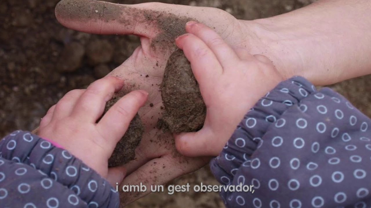 PROJECTE EDUCATIU ESCOLES BRESSOL MUNICIPALS DE VIC