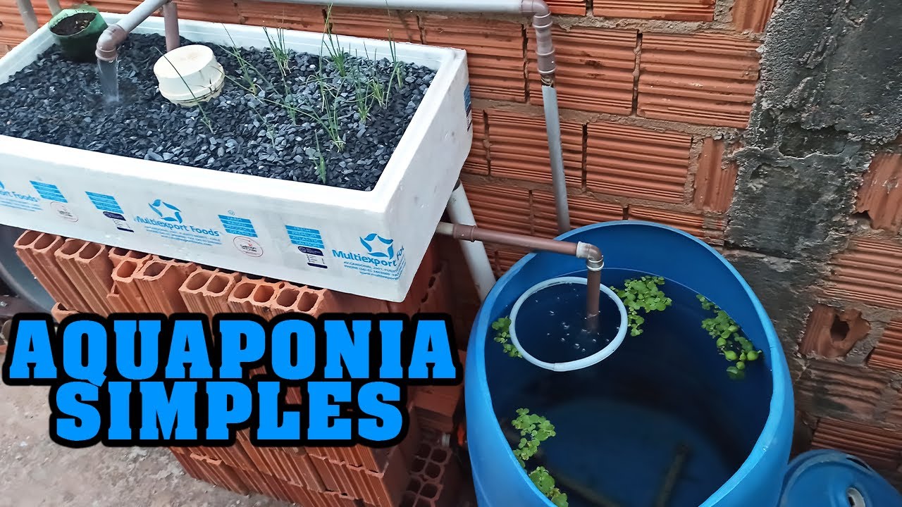 COMO FUNCIONA O MEU SISTEMA DE AQUAPONIA - TIRANDO DUVIDAS