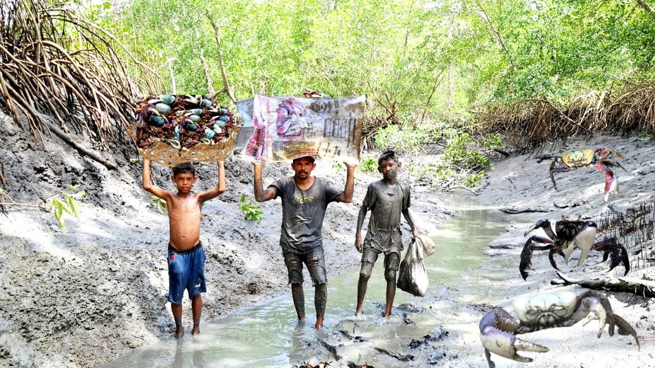 AQUI TEM FARTURA DE CARANGUEJO VEM ..E VEJA A QUANTIDADE QUE PEGAMOS 