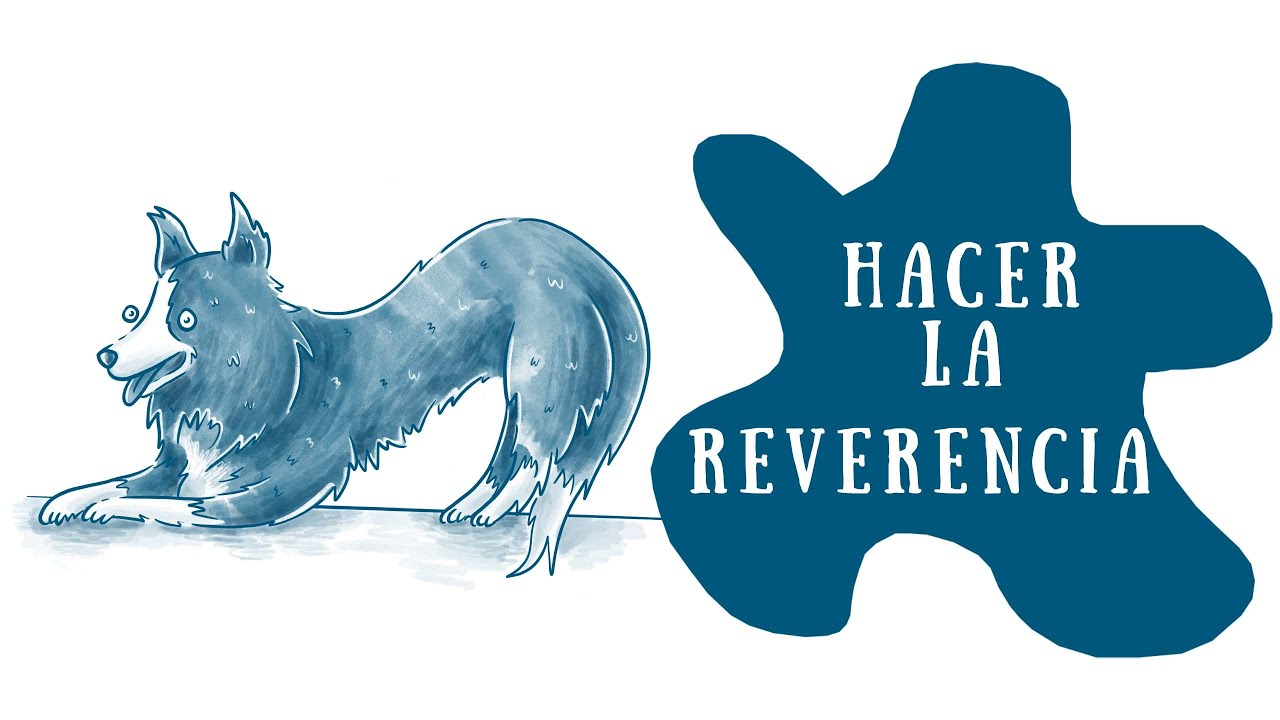 11. Cómo enseñar al perro a hacer LA REVERENCIA