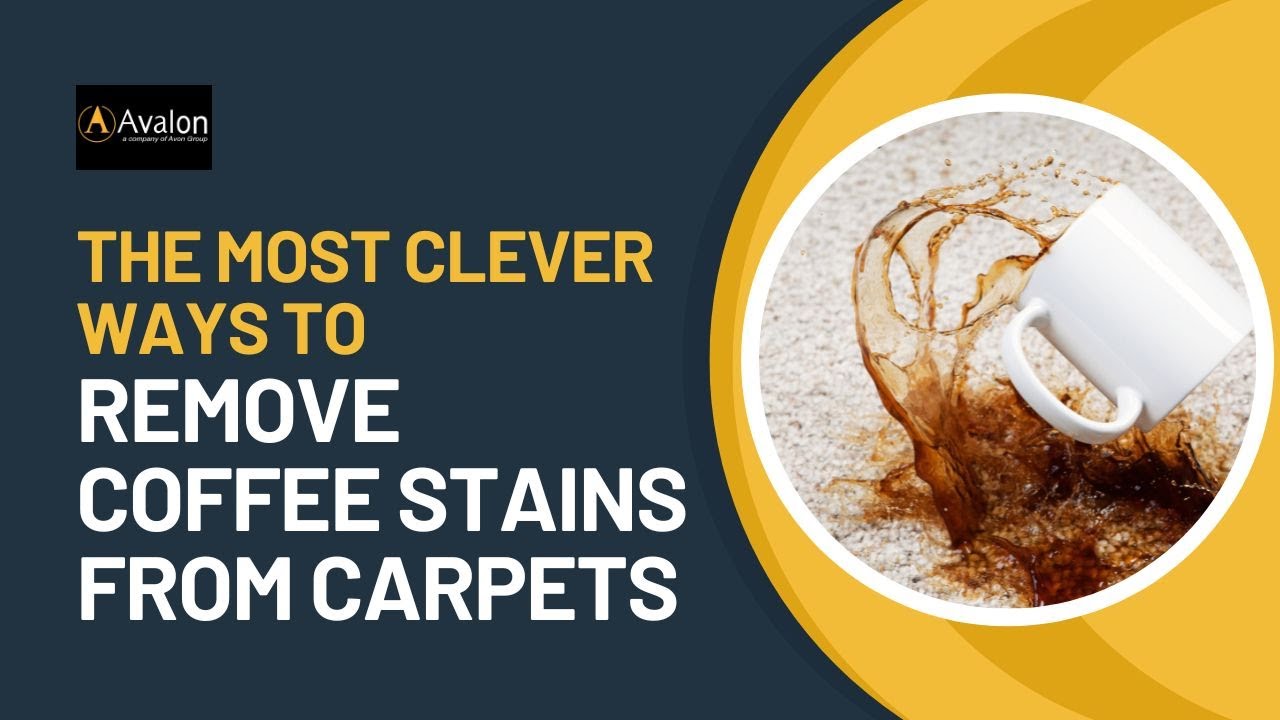 The Most Clever Ways to Remove Coffee Stains from Carpets
