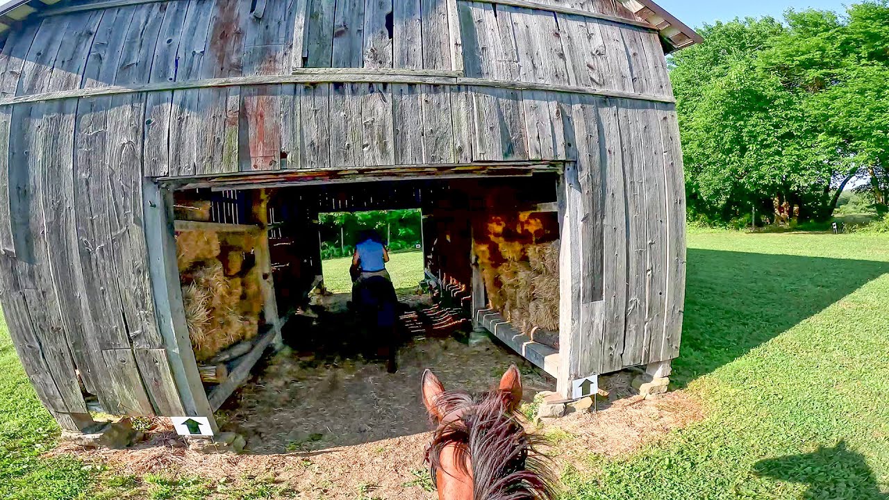 2024 Pace at the Park, 38 jumps, 4 miles - Double speed!