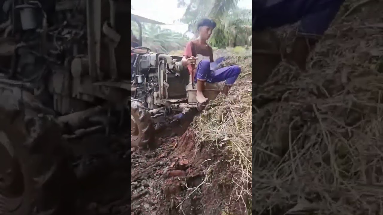 traktor muat sawit #bajak #traktor