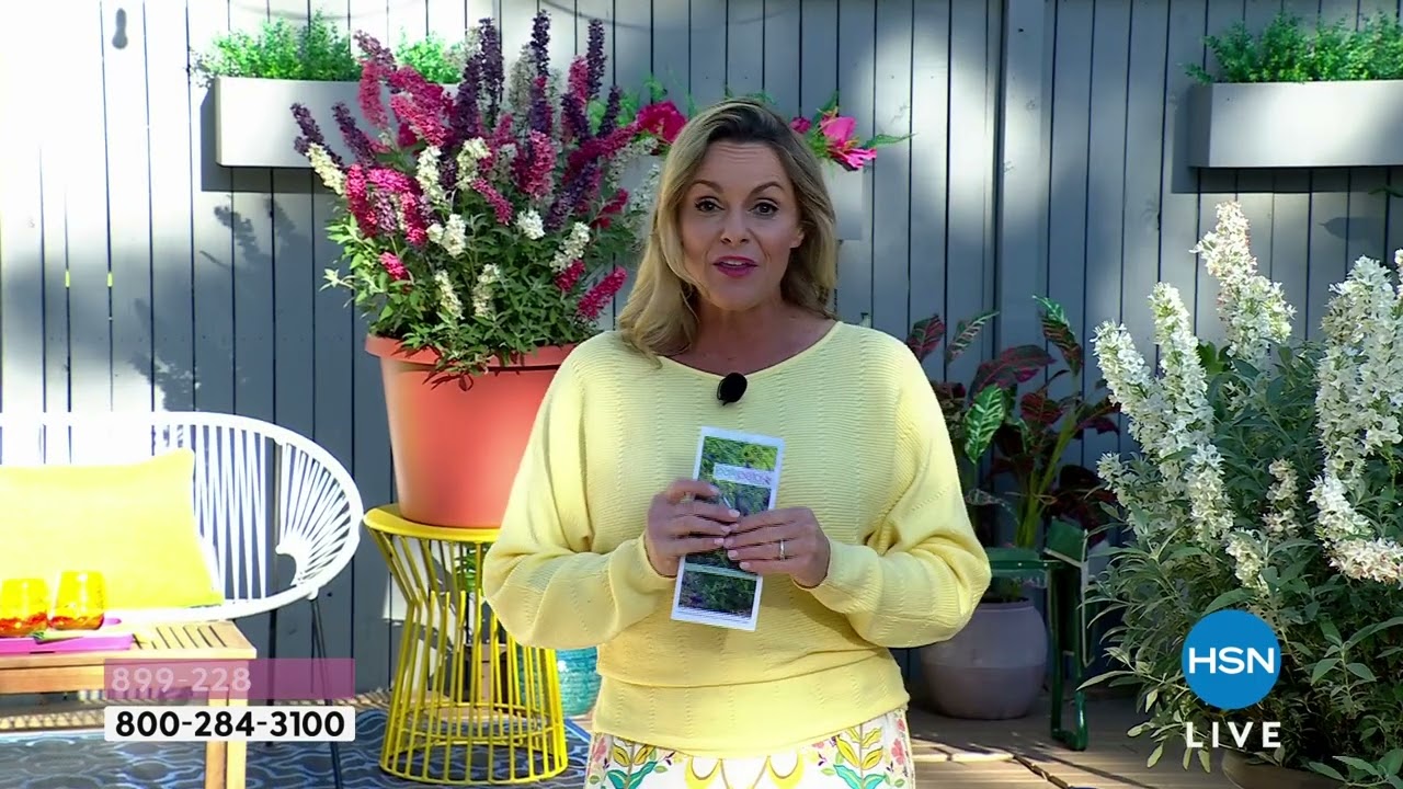Leaf   Petal 4piece Butterfly Candy Bushes with Fertiliz...