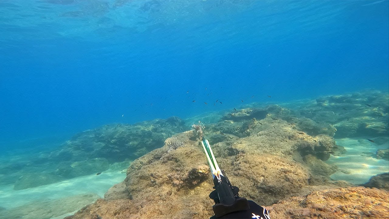 KUZEY KIBRIS ZIPKINLA KARIŞIK KIYI BALIK AVI SPEARFISHING IN NORTH CYPRUS