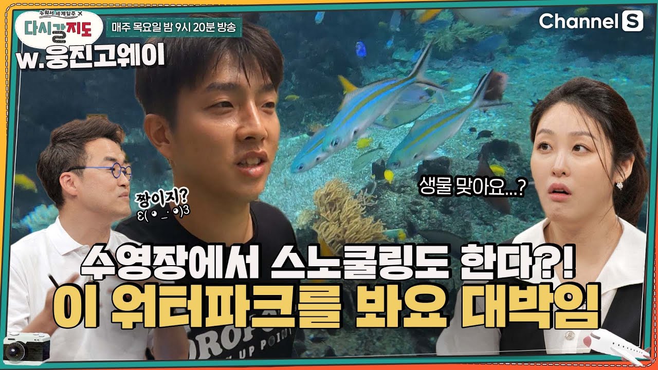#싱가포르 수영장에서 즐기는 물놀이와 #스노쿨링🌊?! 이 워터파크를 봐요 대박임ㅣ[다시갈지도]✈