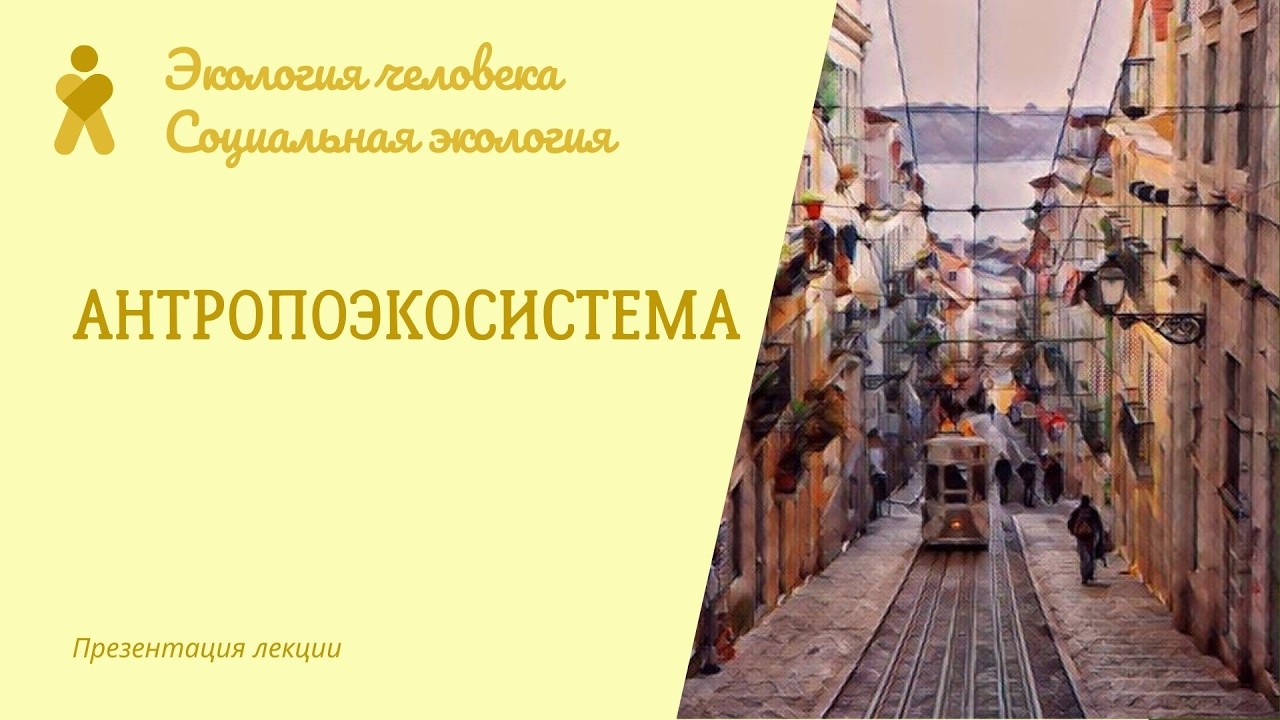 Антропоэкосистема. Экология человека / Социальная экология. Презентация лекции