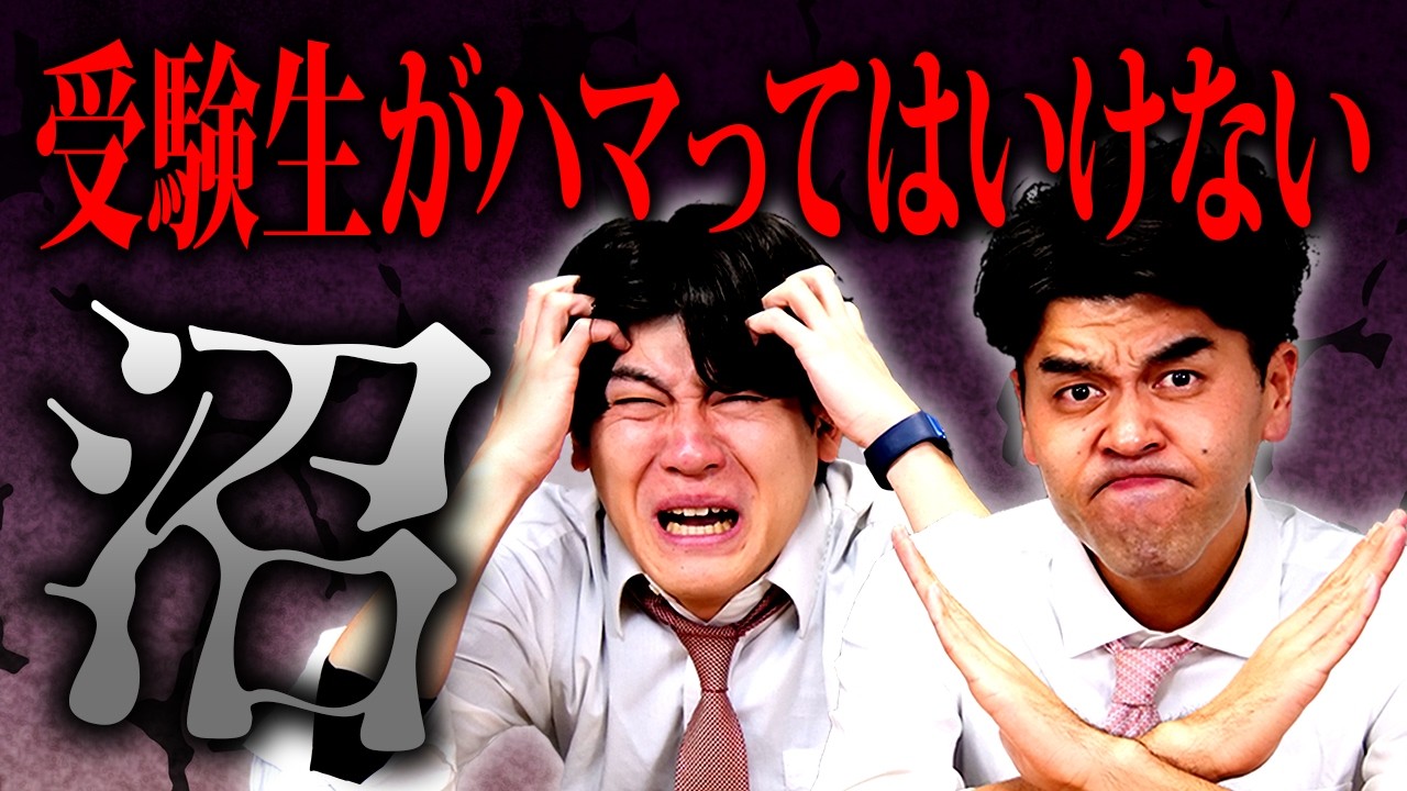 受験生要注意⚠️ 親必見！受験生に観せちゃいけない沼コンテンツ【土佐兄弟の大学ドコイク】
