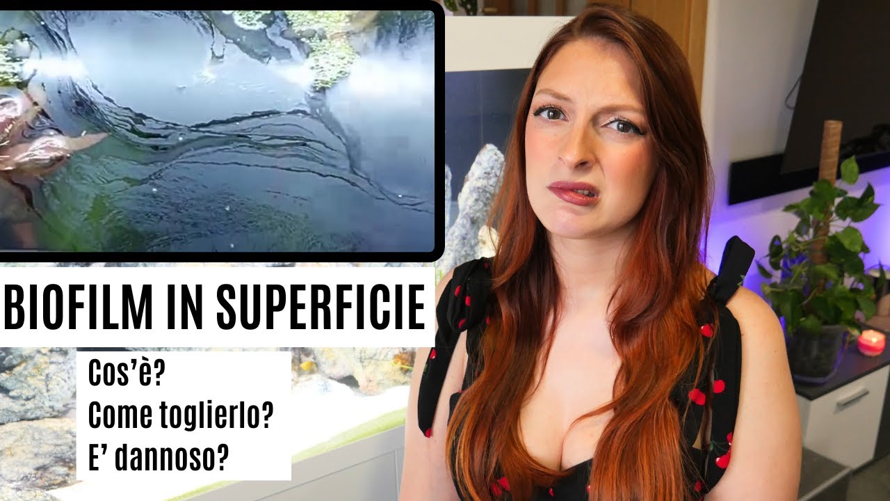 Tutto sul BIOFILM IN SUPERFICIE IN ACQUARIO 😱